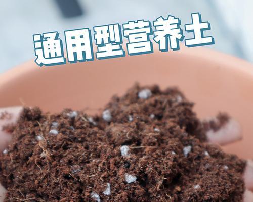 君子兰专用土的成分是什么？