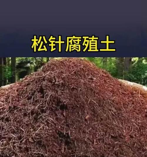 君子兰专用土的成分是什么？