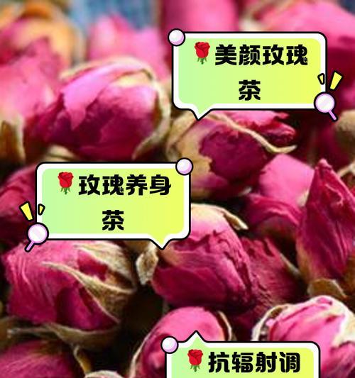 玫瑰花催芽的最快方法是什么？如何确保高成活率？