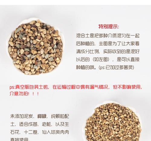 室内仙人球种植应选择哪种土壤？