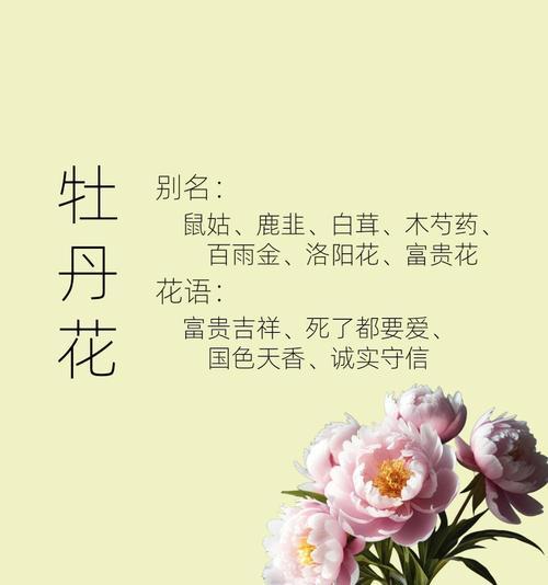 牡丹花为什么要修剪？修剪有哪些好处？