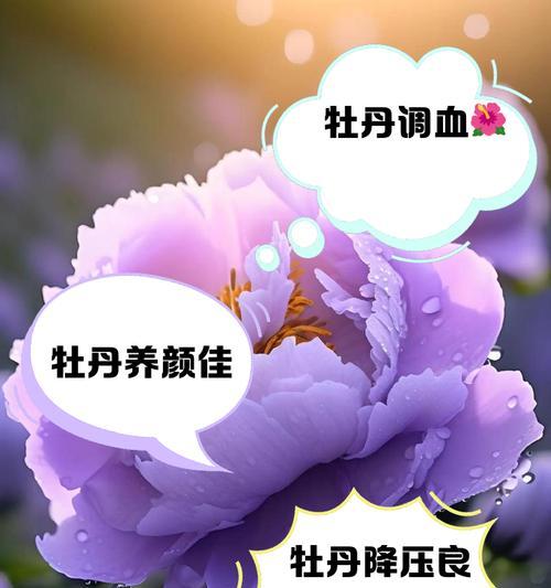牡丹花为什么要修剪？修剪有哪些好处？