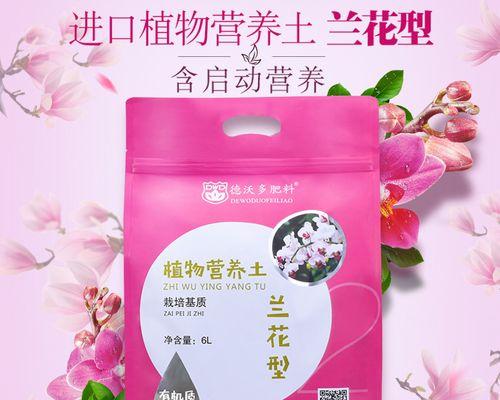 君子兰专用泥土的正确使用方法是什么？使用后如何管理？