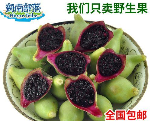 仙人掌仙桃种子发芽的秘诀是什么？