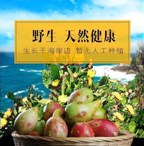 仙人掌仙桃种子发芽的秘诀是什么？
