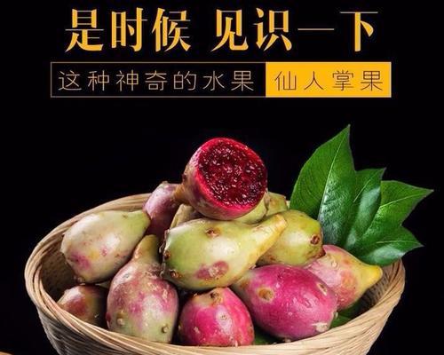 仙人掌仙桃种子发芽的秘诀是什么？