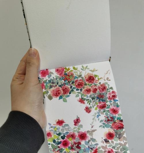仙遇怎么种玫瑰花？种植步骤是什么？