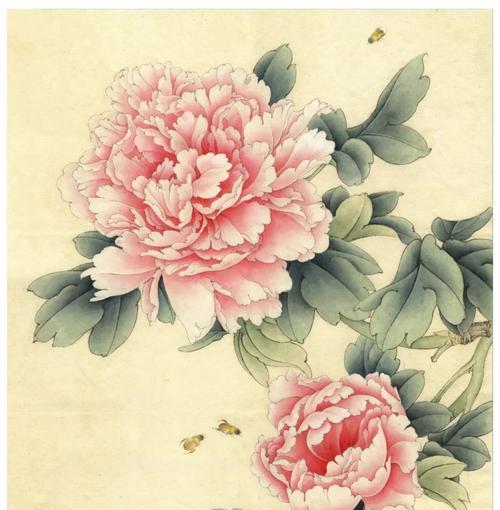 牡丹花瓣如何制作胭脂花？教程步骤是什么？