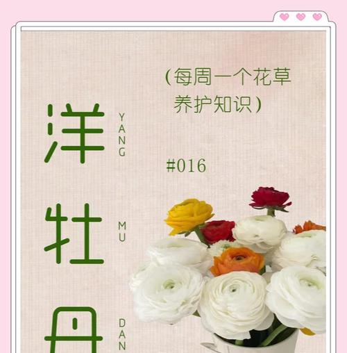 牡丹花在湖南能栽活吗？正确的栽种和养护方法是什么？
