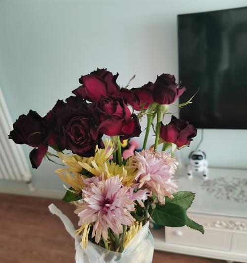干玫瑰花在室内如何保养？能恢复生机吗？