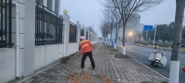 玫瑰花发黄应该采取哪些处理措施？
