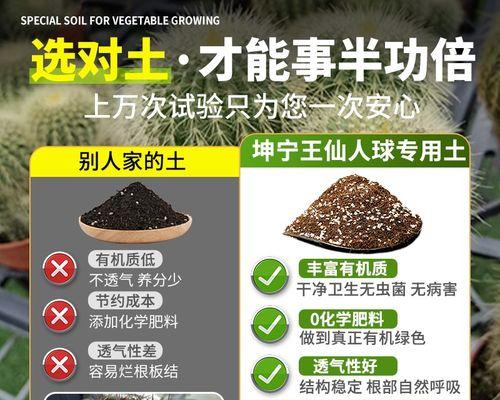 仙人掌配土种植的正确方法是什么？有何技巧？