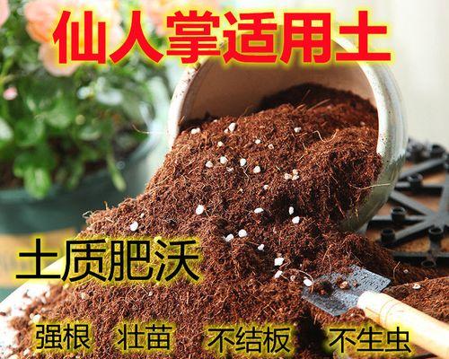 仙人掌配土种植的正确方法是什么？有何技巧？