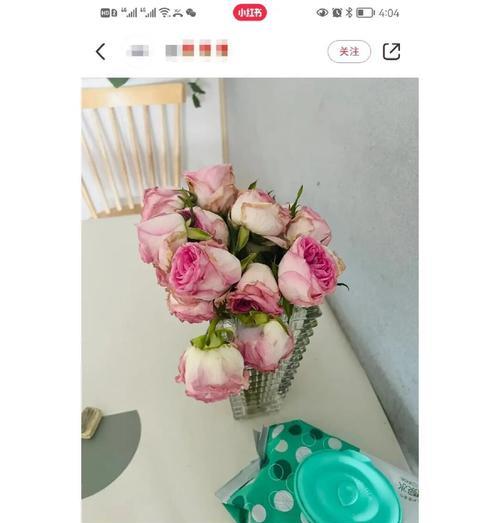 玫瑰花带回家后的正确养护方法是什么？如何保持新鲜？