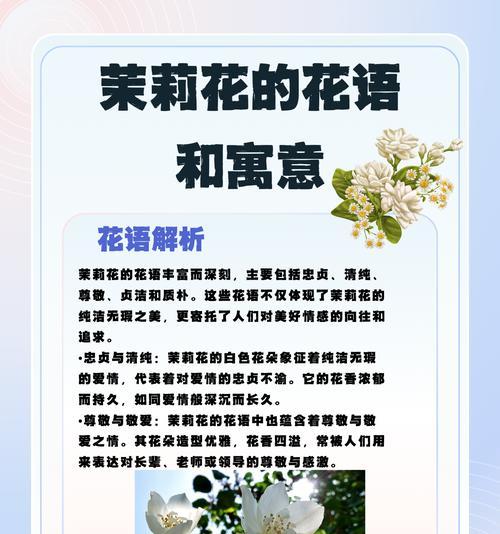 哪些花代表恋爱的花语和寓意？