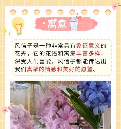哪些花代表恋爱的花语和寓意？