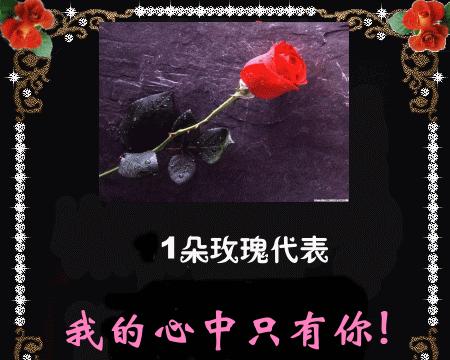 市场上热卖的花有哪些？它们的花语分别是什么？