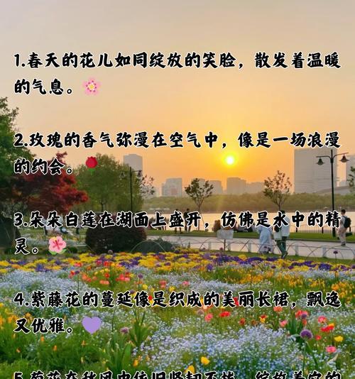 美丽的家乡花语是什么？哪种花代表乡愁？