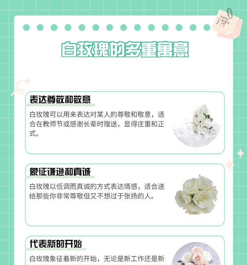 12朵白玫瑰代表什么？白玫瑰花语有何深意？