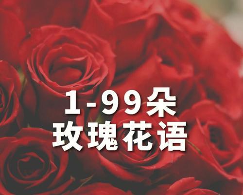 女朋友要求送玫瑰花代表什么含义？不同颜色玫瑰花的花语有何不同？