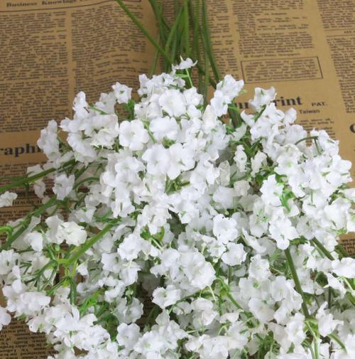 棒子花语有哪些含义？