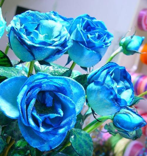 蓝玫瑰16朵花语是什么？16朵蓝玫瑰传递了什么信息？