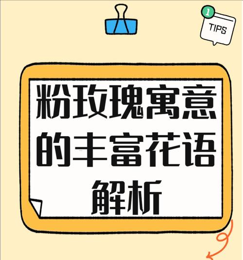 嚣张玫瑰花的含义是什么？它如何表达情感？