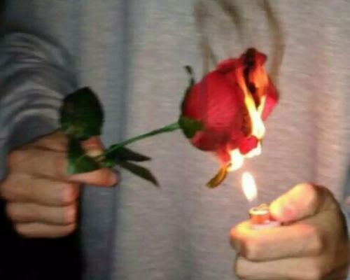 男性头像中的玫瑰花有何寓意？