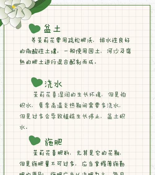 素馨茉莉花语代表什么？有何深层含义？