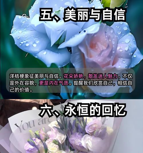 哪种花象征着永恒不变的爱？