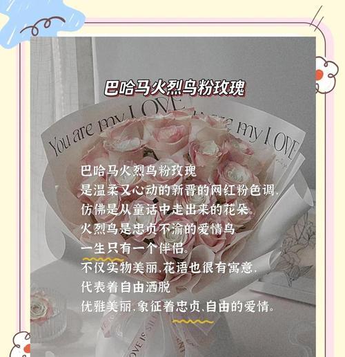 带玫瑰两字的花语是什么？玫瑰花语有哪些？