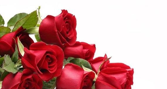 带玫瑰两字的花语是什么？玫瑰花语有哪些？