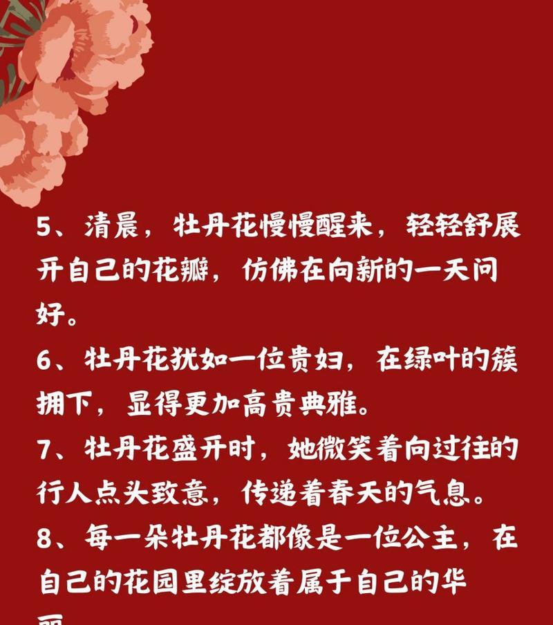 牡丹花加字母的花语有何深意？