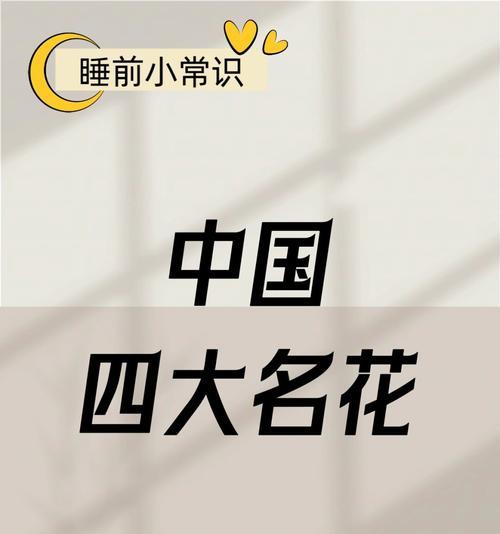 牡丹花加字母的花语有何深意？