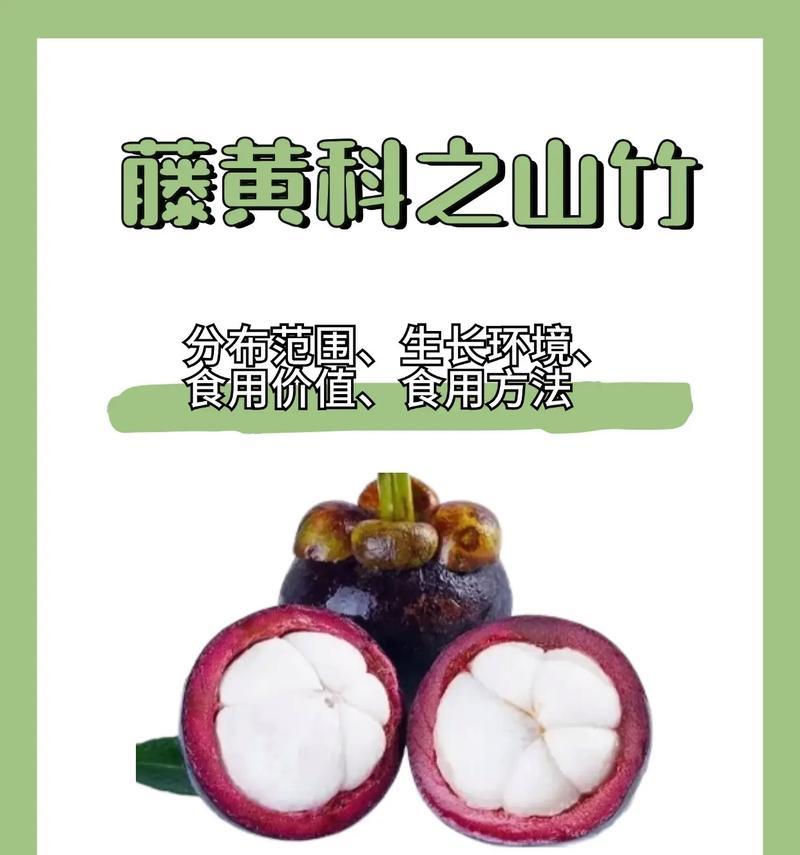 九江山竹的花语有何特别之处？它象征着什么？