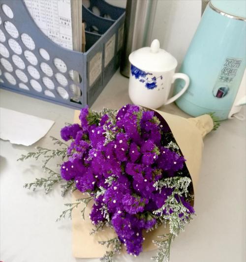 重新爱我的花语有何深层含义？