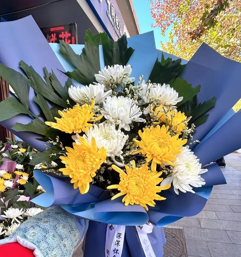 哪种花代表青春逝去？它的花语有何深意？
