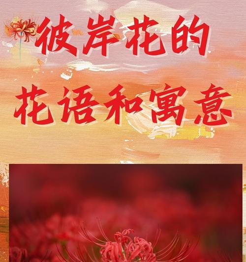 哪种花代表青春逝去？它的花语有何深意？
