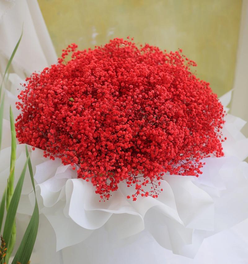 红石榴花束传递了哪些信息？花语有何特别含义？