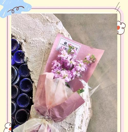 紫罗兰与其他花搭配的花语是什么？