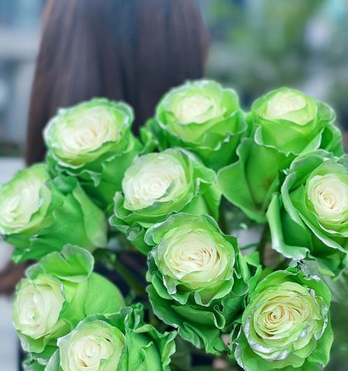 “我只钟意于你”花语有何特别含义？