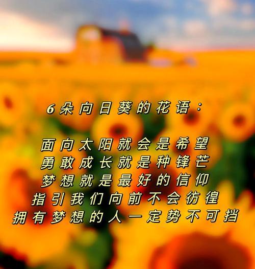 数字花语具体是什么意思？它有哪些含义？