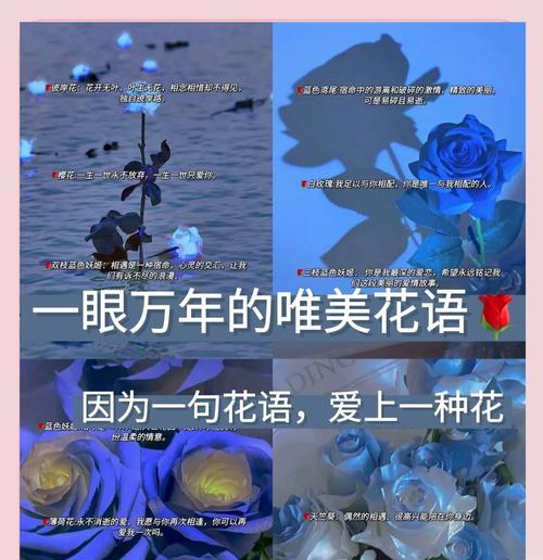 漫天花语主题表达了怎样的情感？
