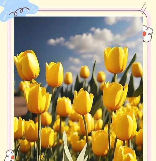 “得到的爱”花语代表什么？