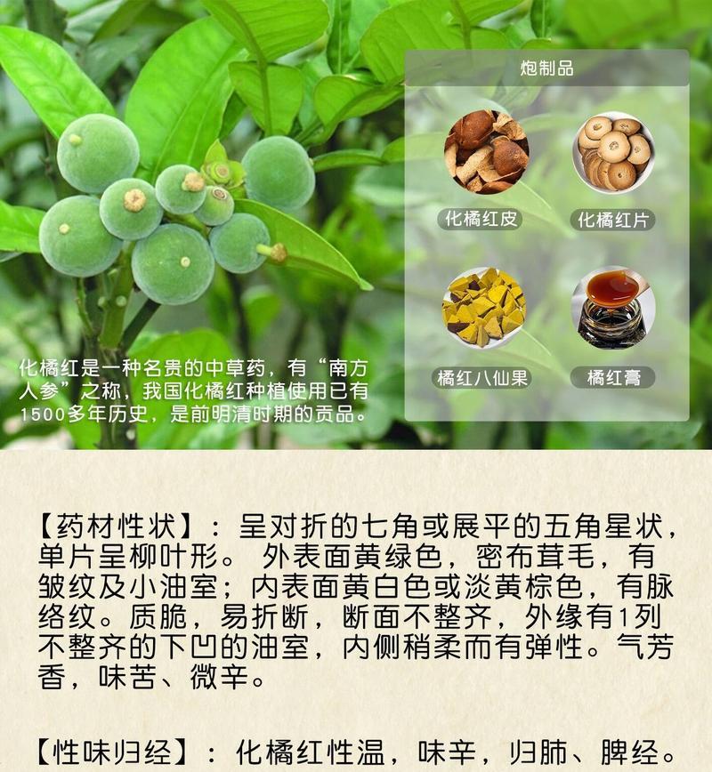 桔红花的花语和象征是什么？它代表了哪种意义？