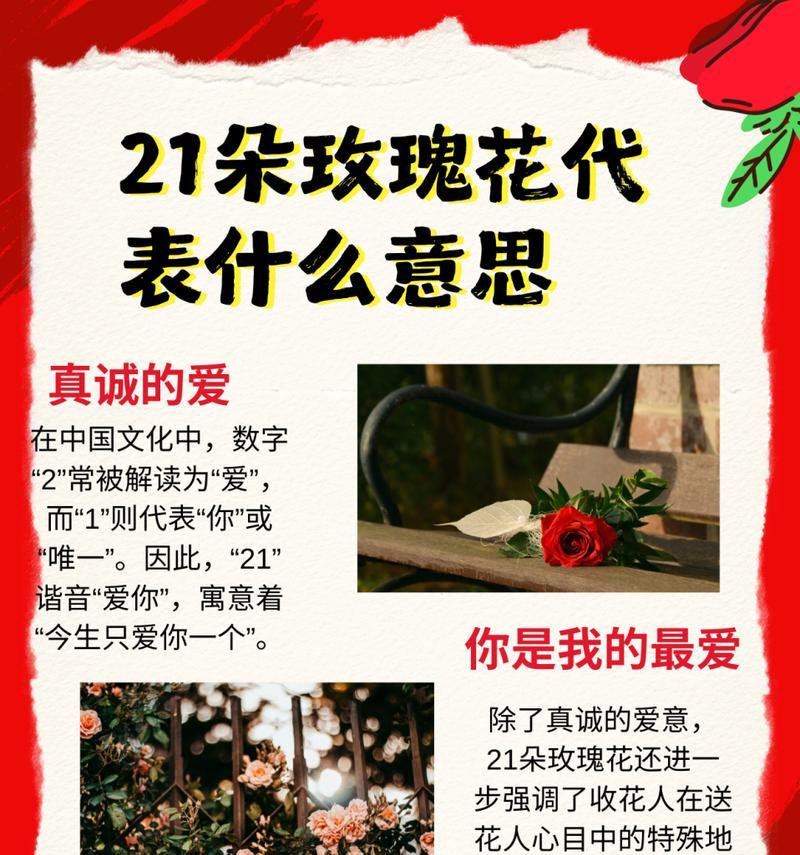 桔红花的花语和象征是什么？它代表了哪种意义？