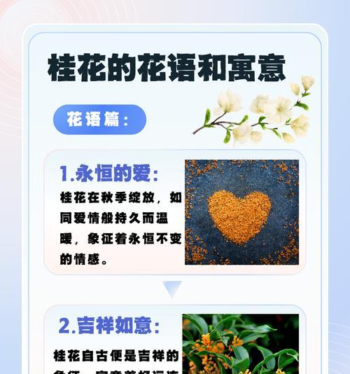 道具多变的花语代表了什么？
