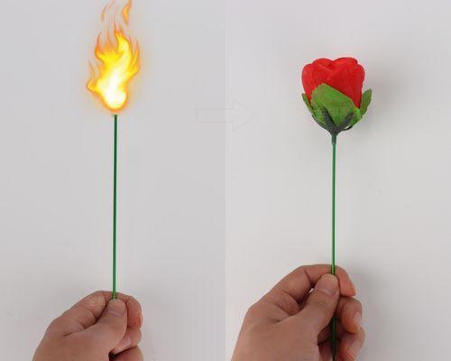 道具多变的花语代表了什么？