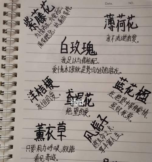 被你厌烦的花语代表什么含义？