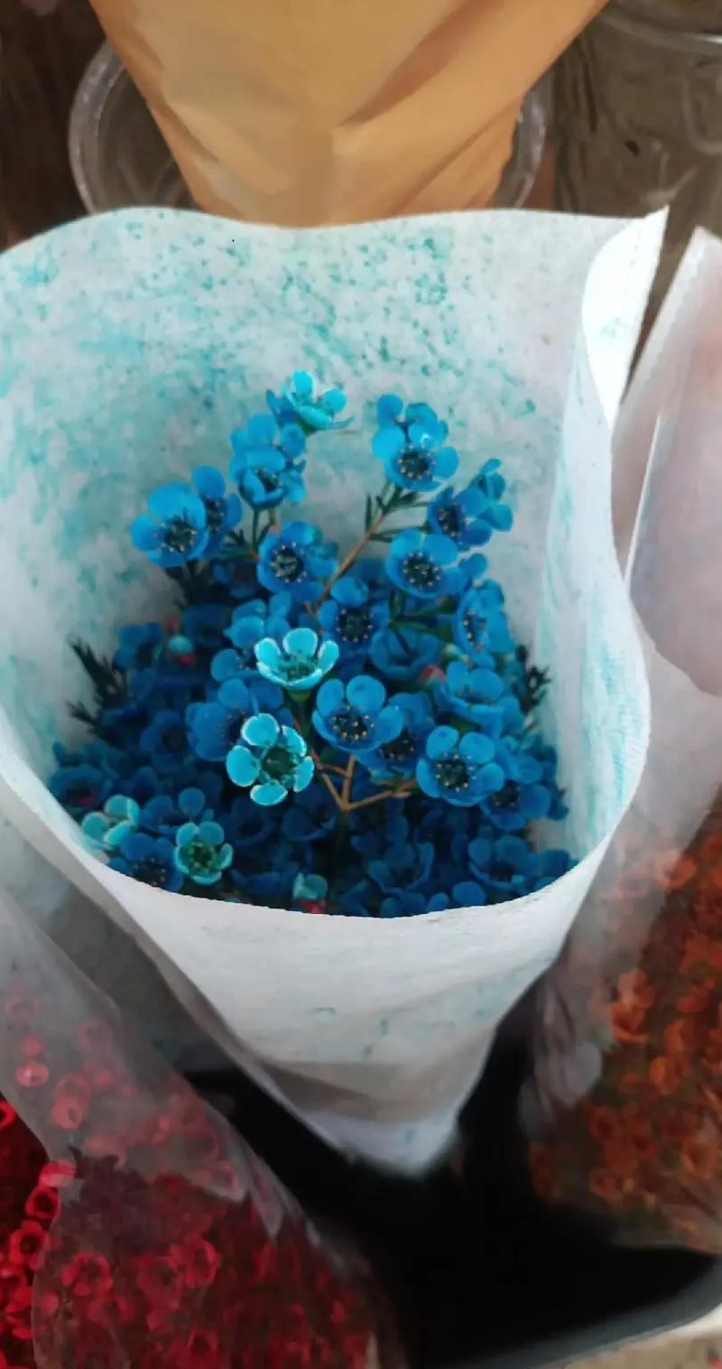 花语心情不错代表什么？心情不错时应该送什么花？
